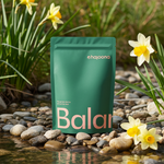 Balance - Energie a Imunita