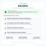 VitalBooster Balance – funkční zelená káva, vitální houby Reishi, Maitake, Hericium, složení a dávkování lžičkou